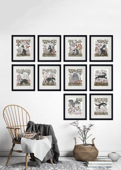 Complete Set of Animal Collection Framed Prints.