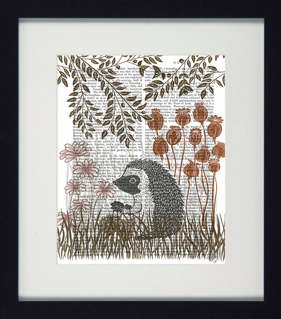 Country Animal Collection Framed Hedgehog Print.