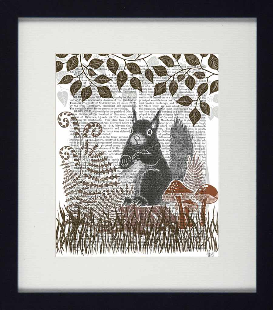 Country Animal Collection Framed Squirrel Print.